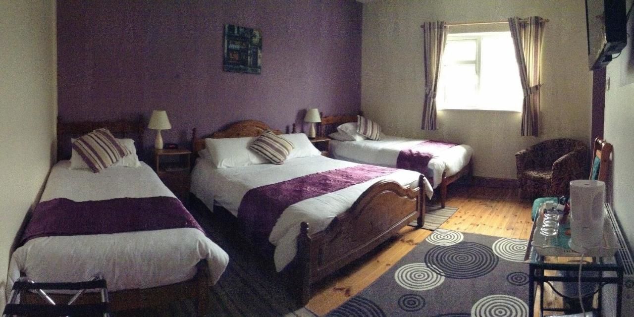 Отели типа «постель и завтрак» Deerpark Manor Bed and Breakfast Суинфорд-42