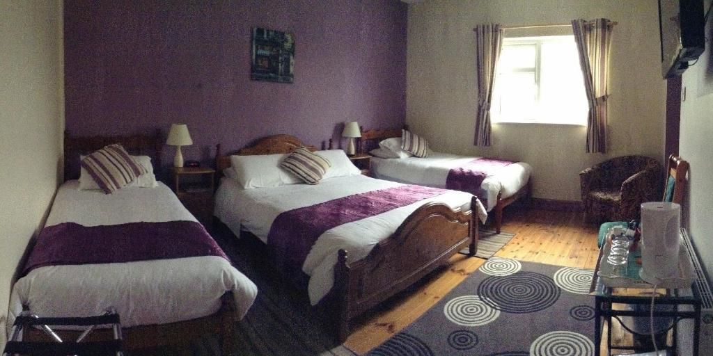 Отели типа «постель и завтрак» Deerpark Manor Bed and Breakfast Суинфорд-50