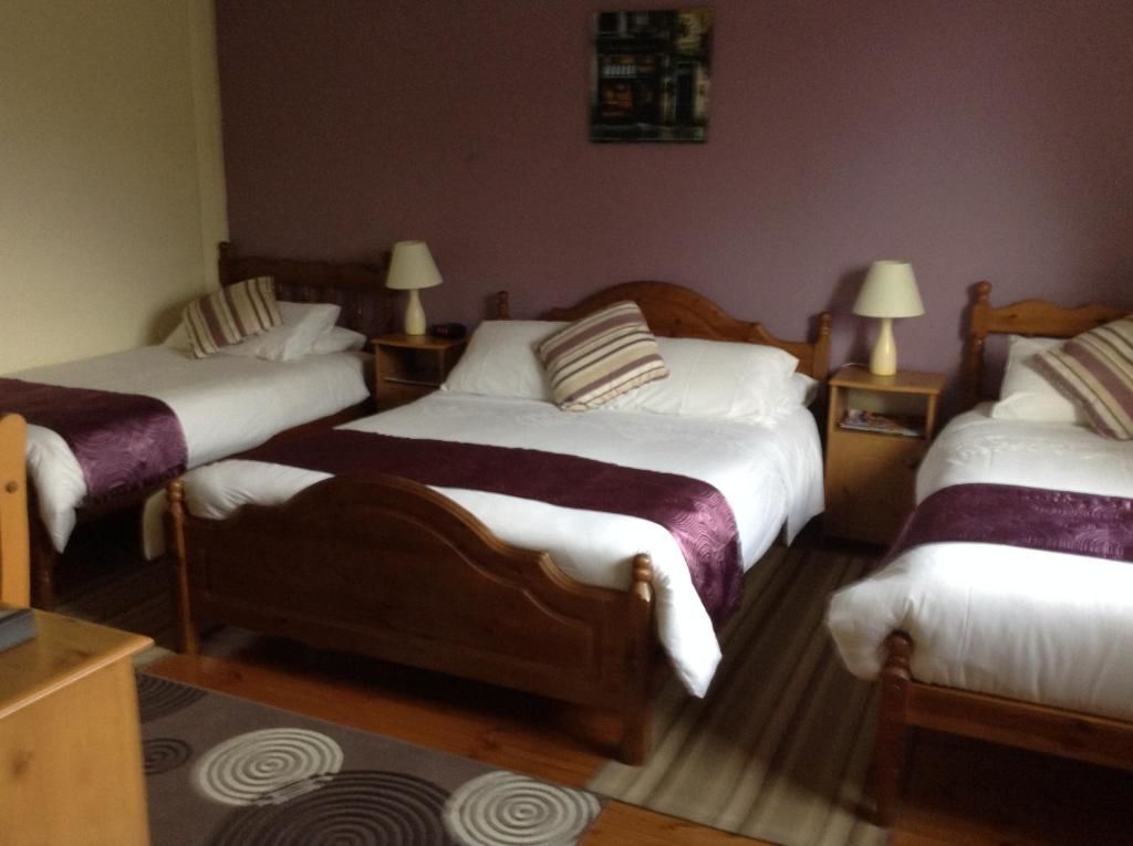 Отели типа «постель и завтрак» Deerpark Manor Bed and Breakfast Суинфорд-51