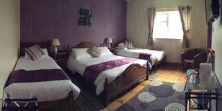 Отели типа «постель и завтрак» Deerpark Manor Bed and Breakfast Суинфорд Семейный номер-3
