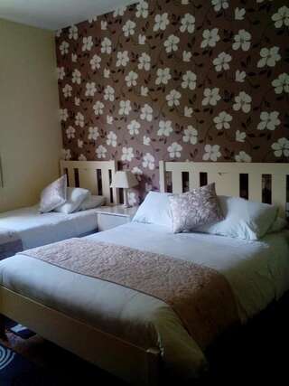 Отели типа «постель и завтрак» Deerpark Manor Bed and Breakfast Суинфорд Двухместный номер с 1 кроватью или 2 отдельными кроватями-3